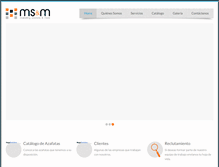 Tablet Screenshot of msmpanama.com